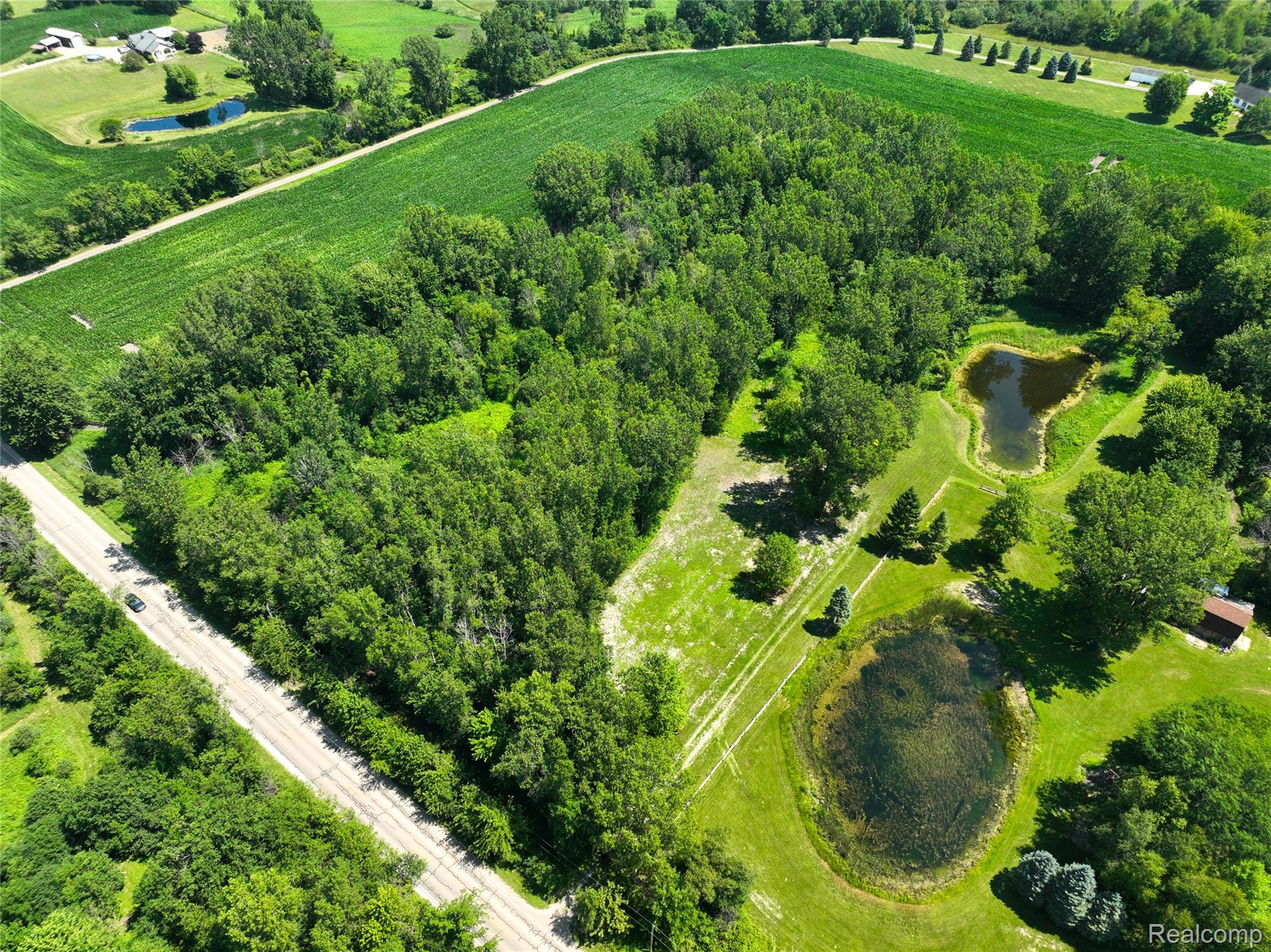Vacant Land Nicholson Rd Property Photo 5