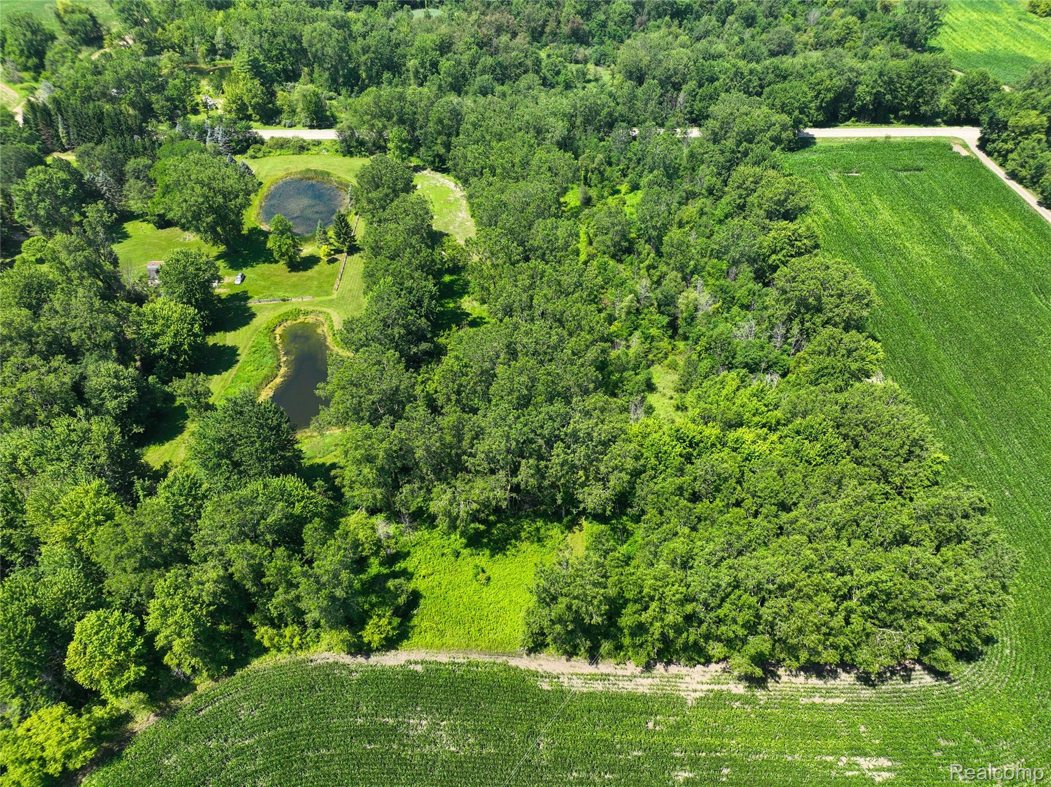 Vacant Land Nicholson Rd Property Photo 8
