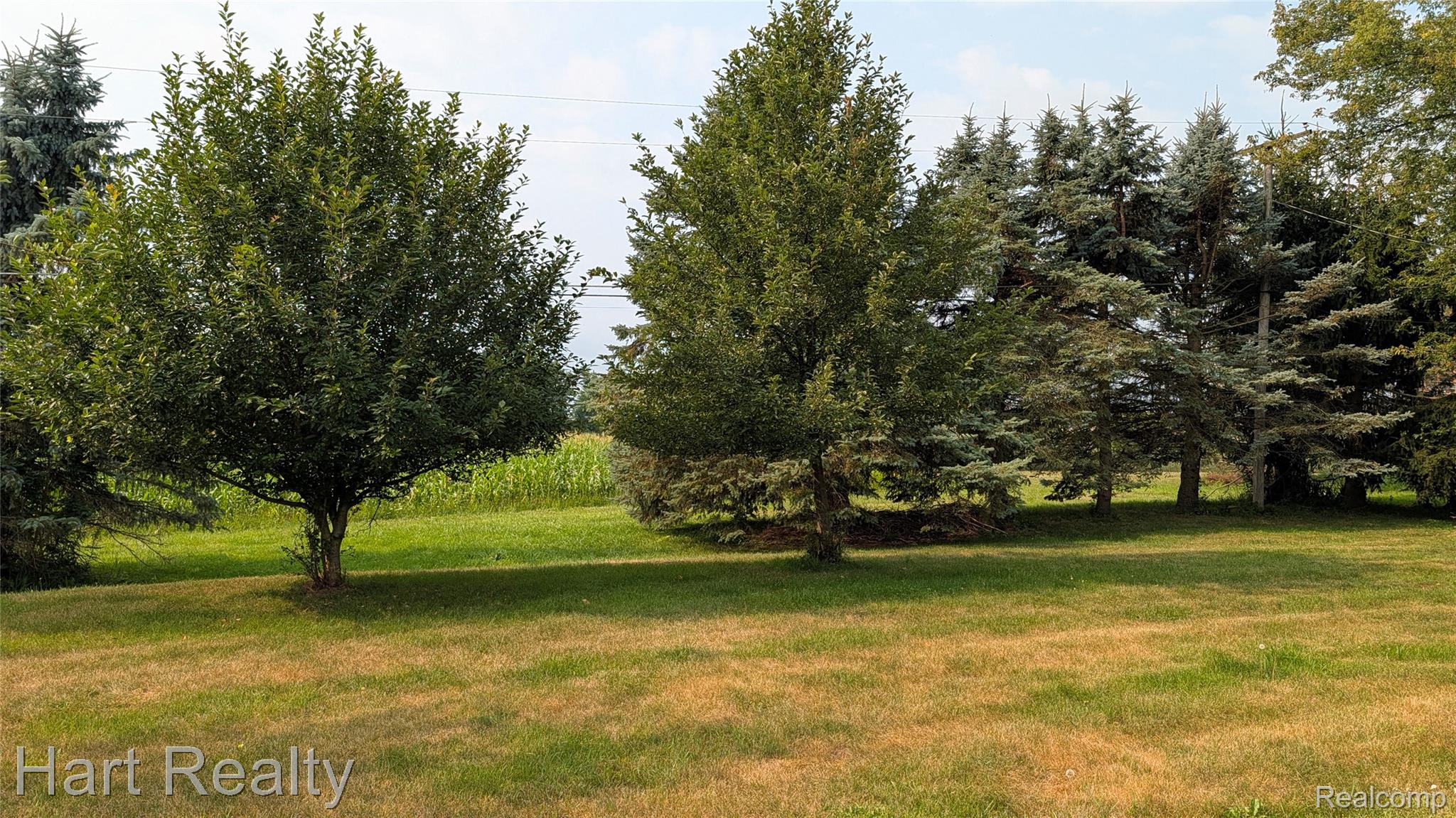 590 E Borland Road Property Photo 28