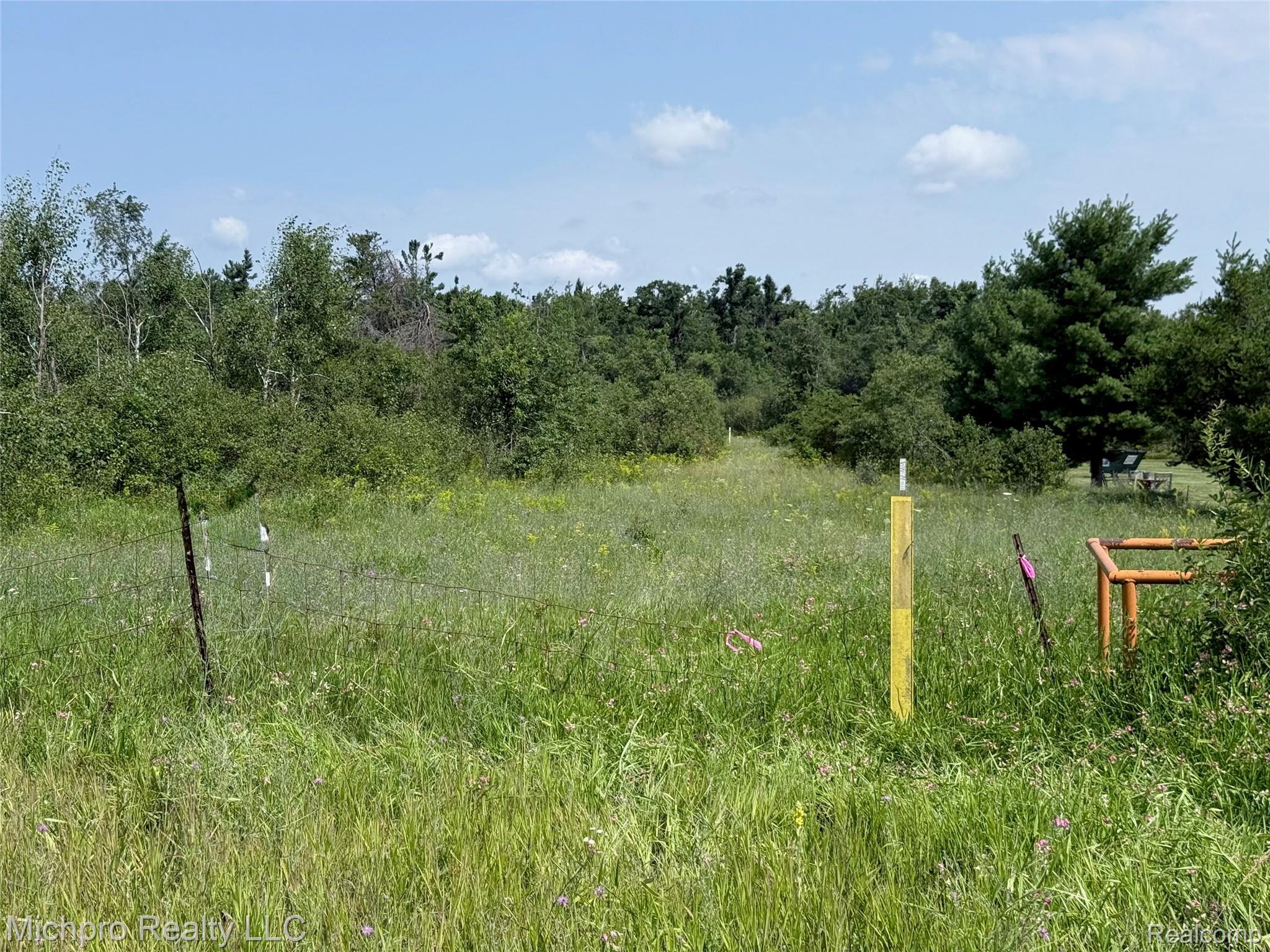 Vl Mckee Road Property Photo 14