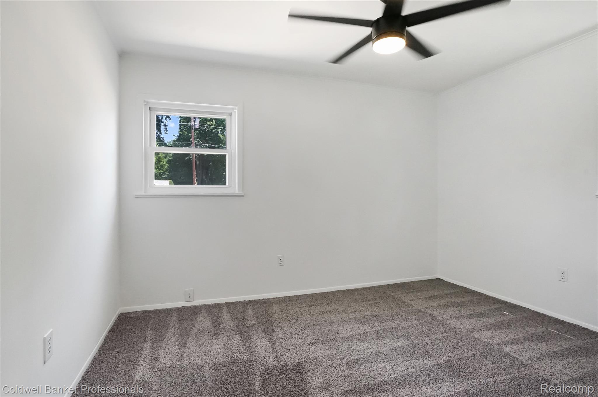 2436 Toby Road Property Photo 7