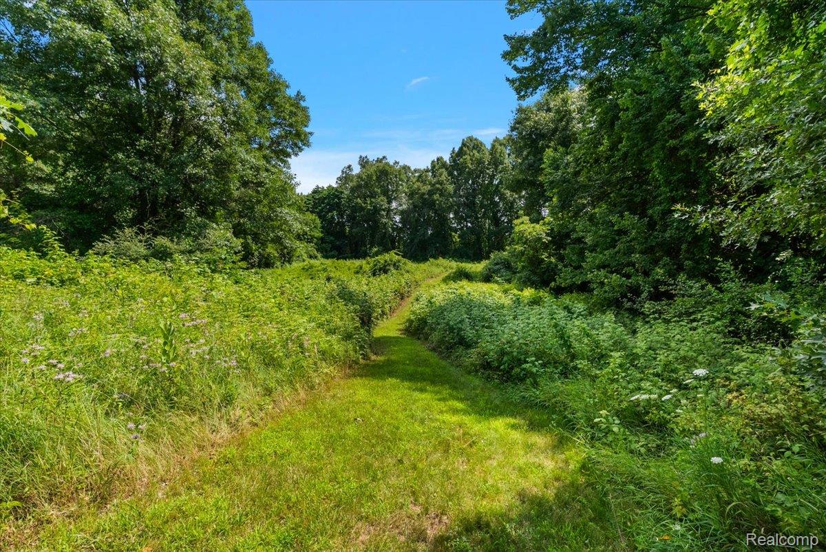 1650 Cobblestone Lane Property Photo 71