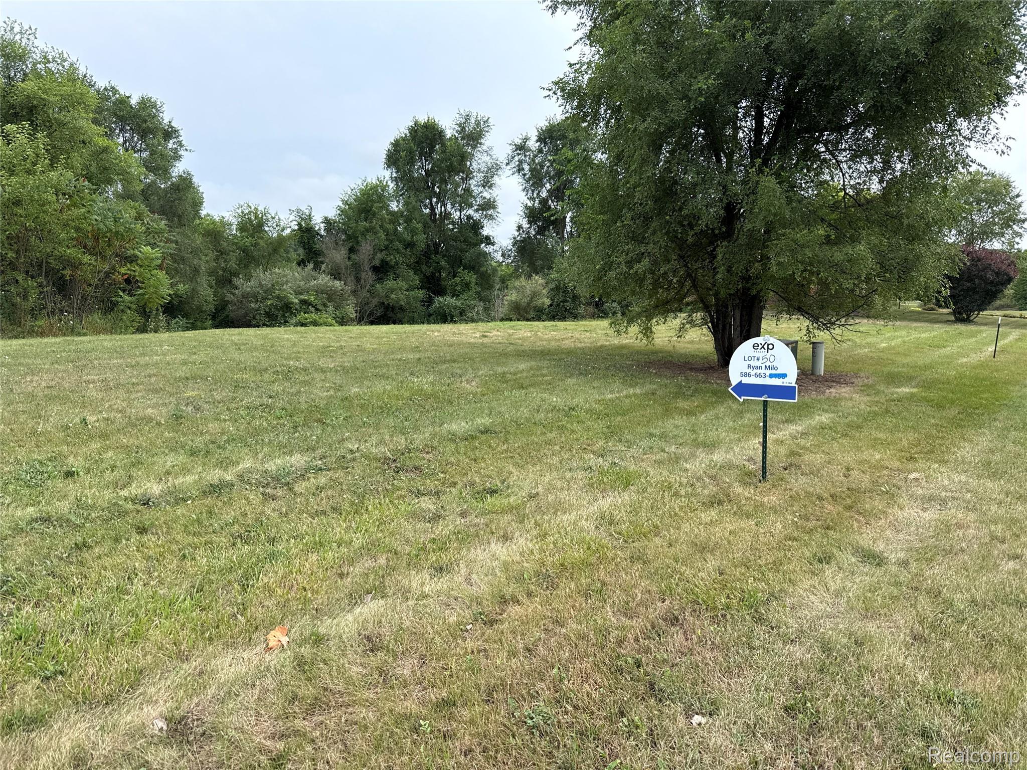 9153 Potterville Drive Property Photo 2