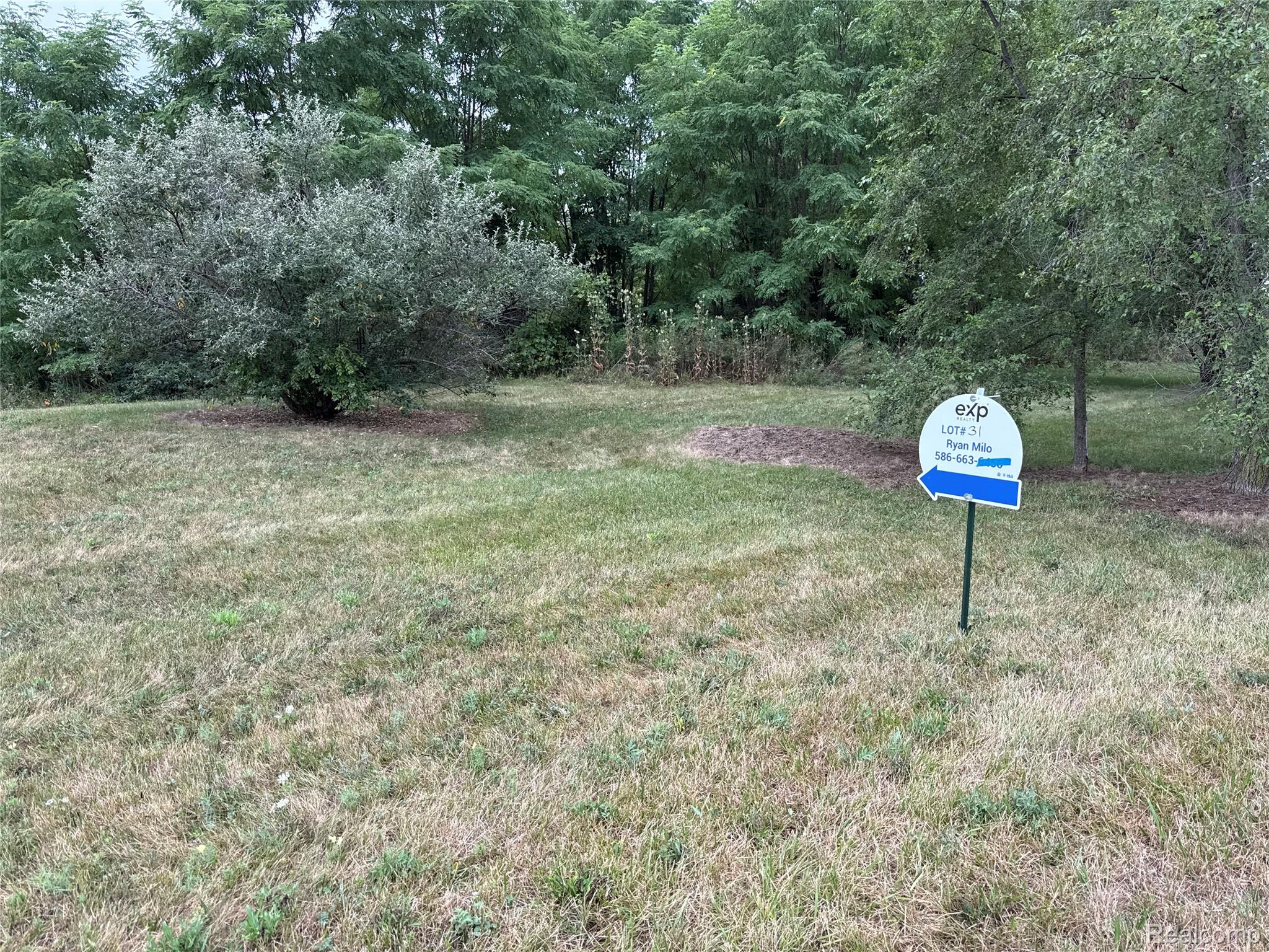 9112 Potterville Drive Property Photo 2