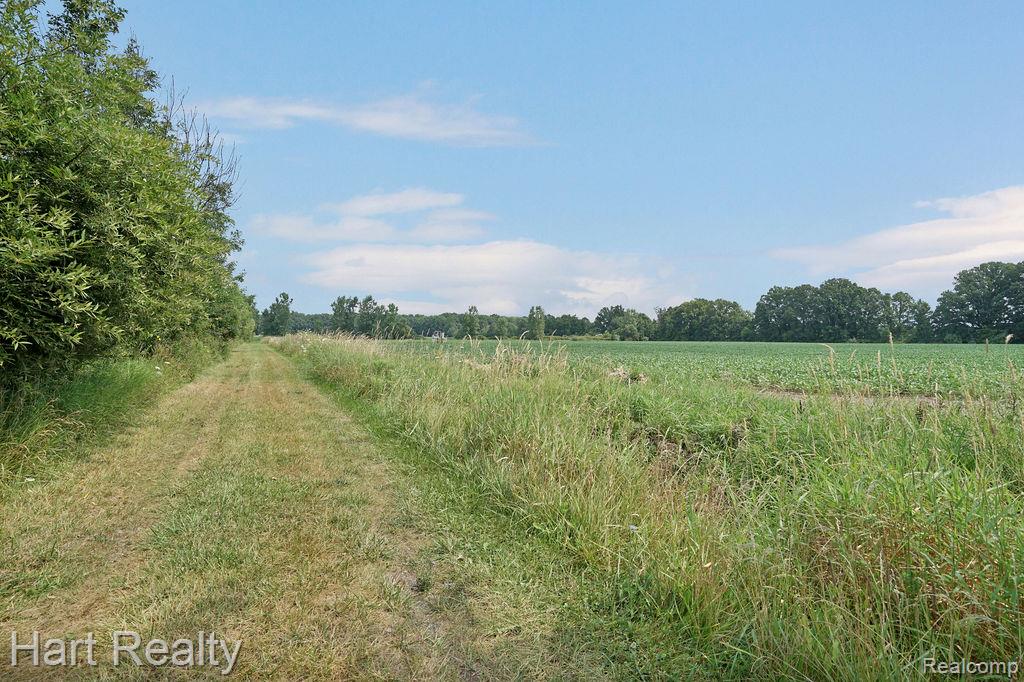 16298 Imlay City-a Road Property Photo 20
