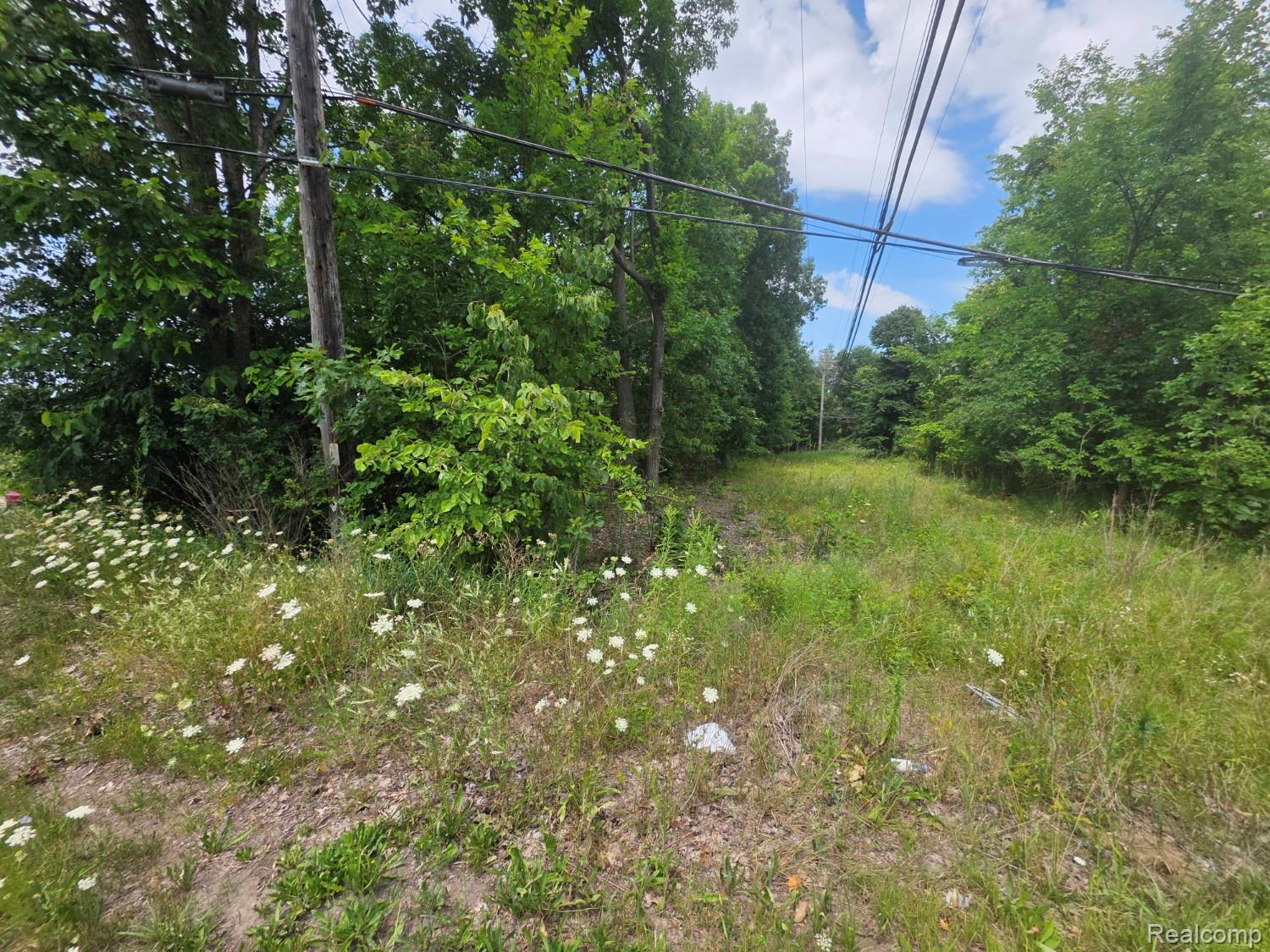 113 Devonshire Drive Property Photo 2