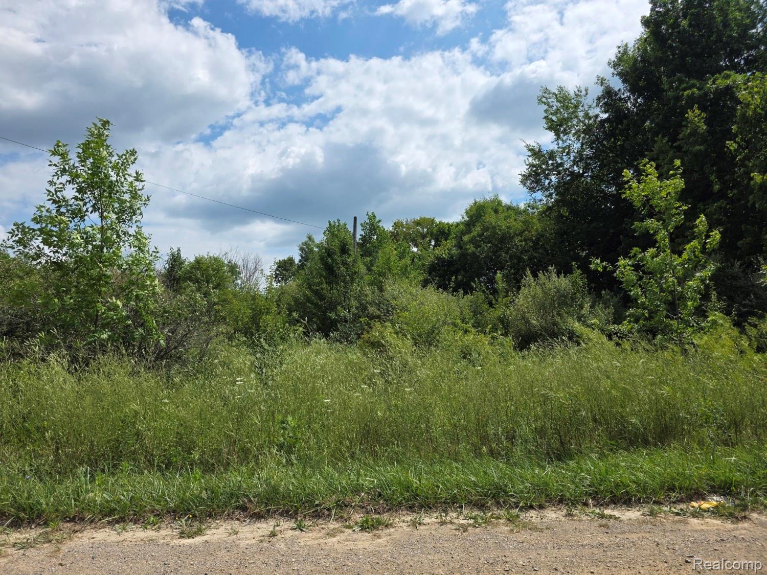 113 Devonshire Drive Property Photo 4