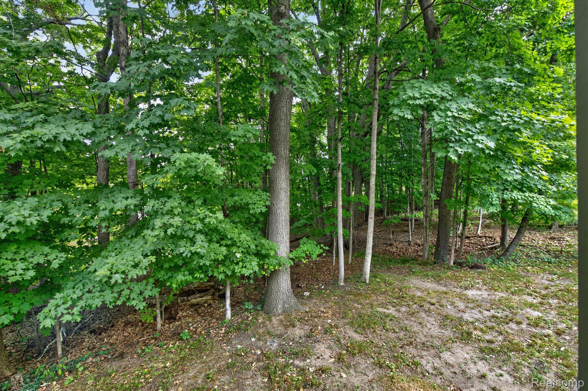 38808 Lancaster Drive Property Photo 63