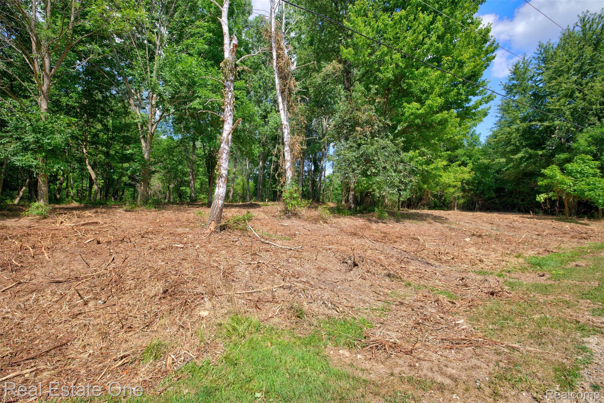 00 Bridges Cove Property Photo 6