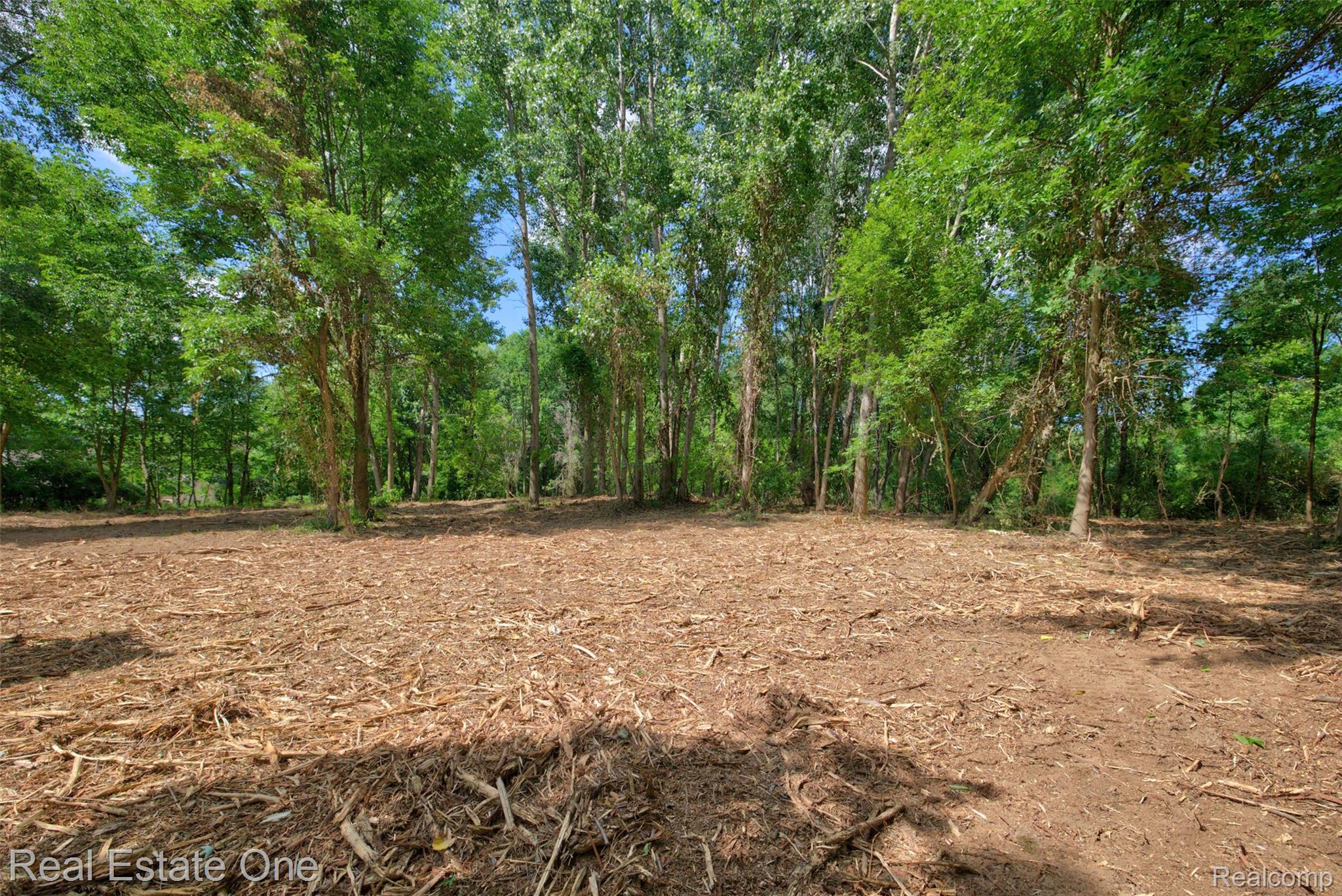 00 Bridges Cove Property Photo 8