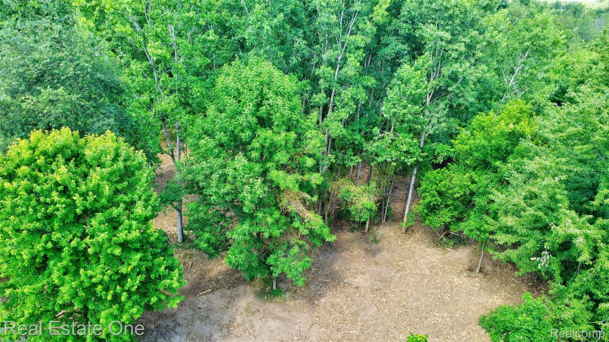 00 Bridges Cove Property Photo 11