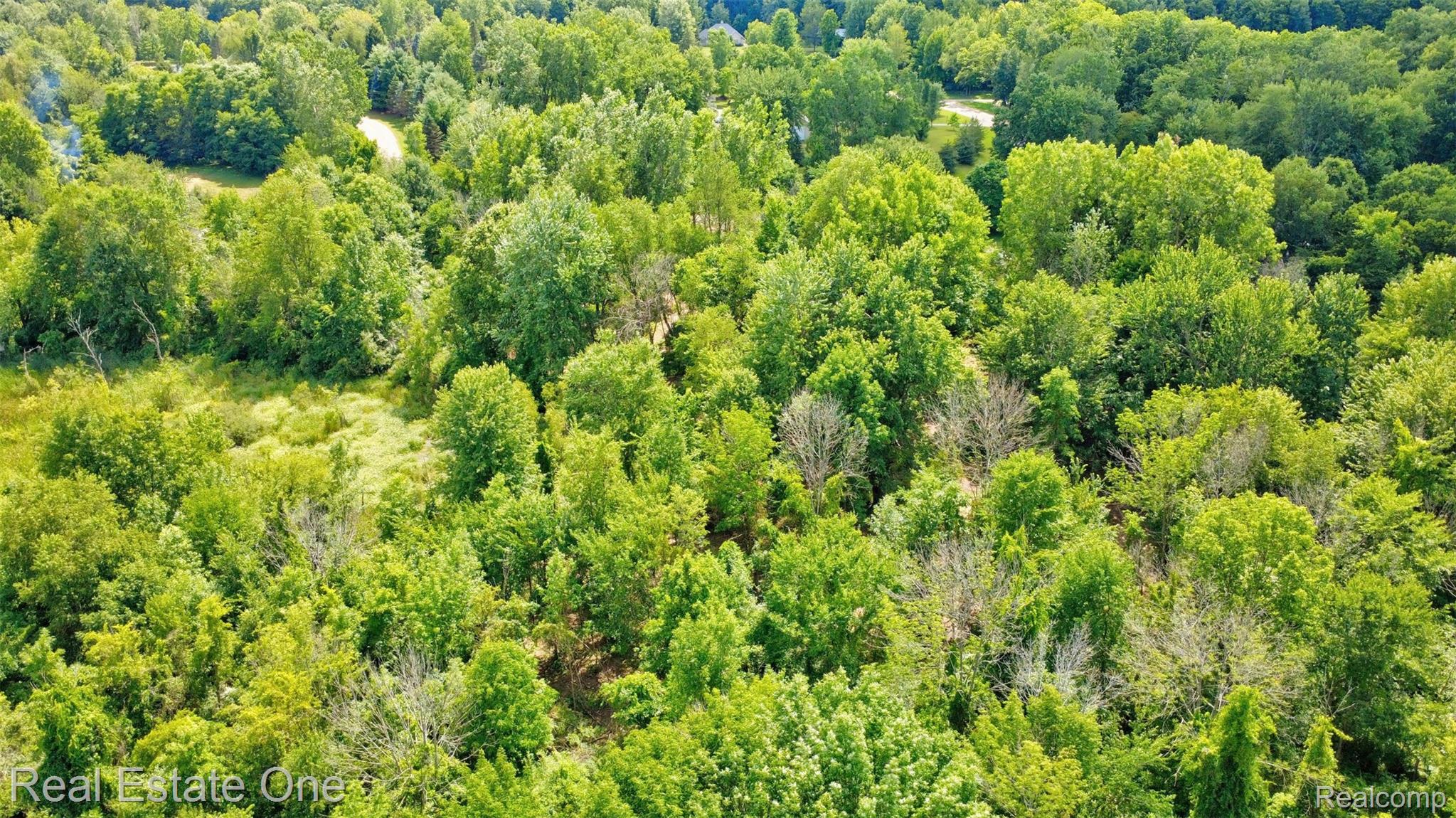 00 Bridges Cove Property Photo 14