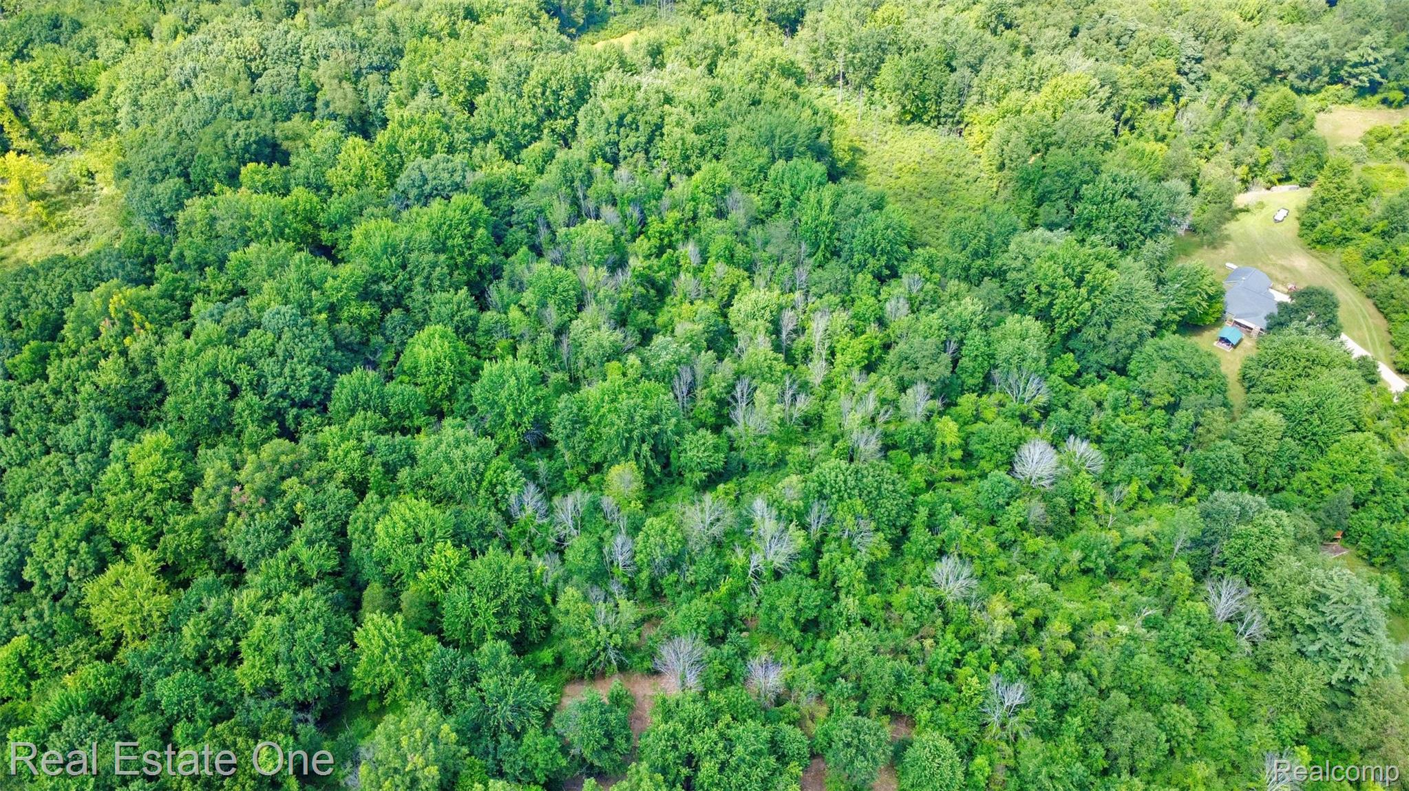 00 Bridges Cove Property Photo 15