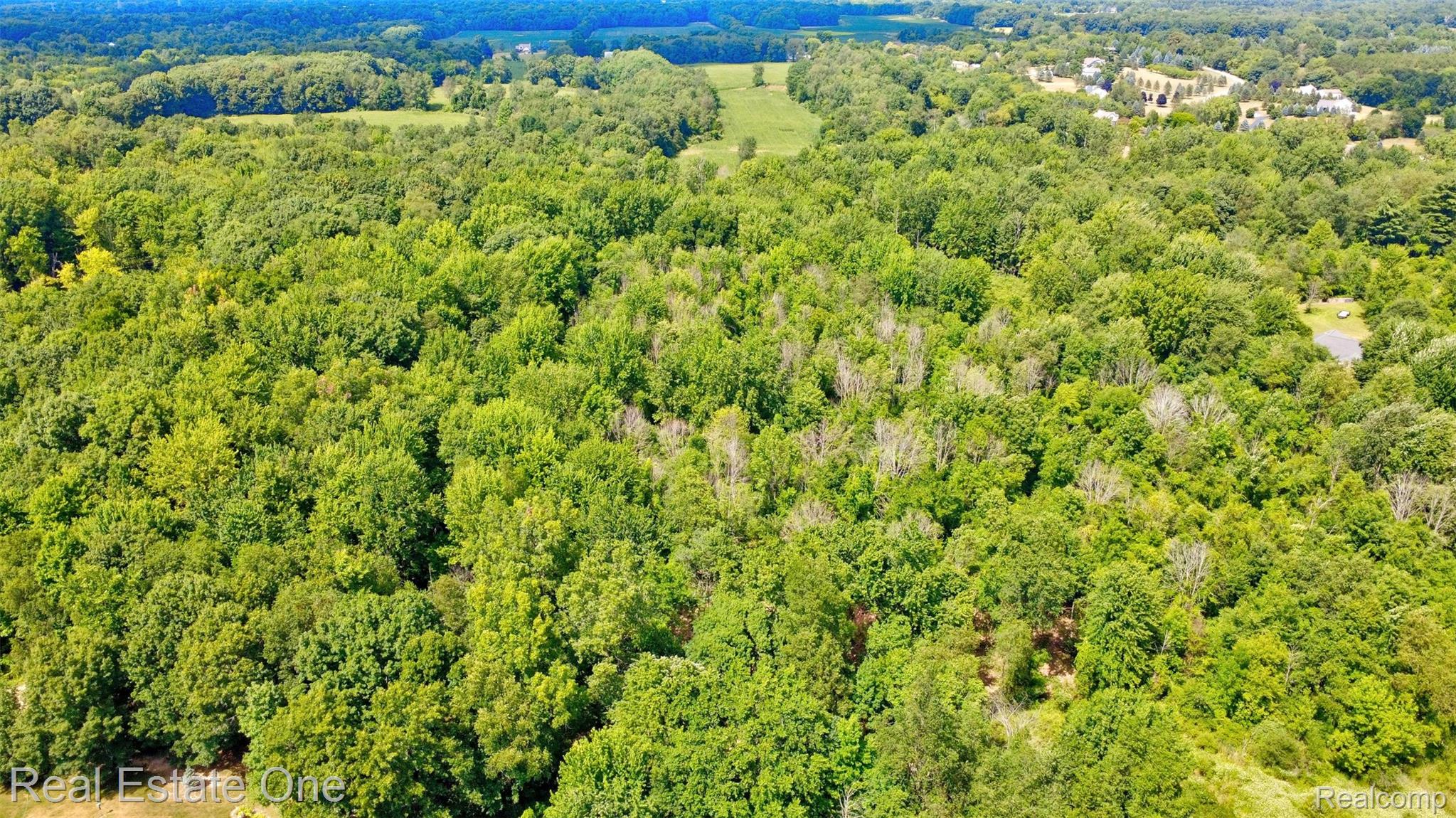 00 Bridges Cove Property Photo 16