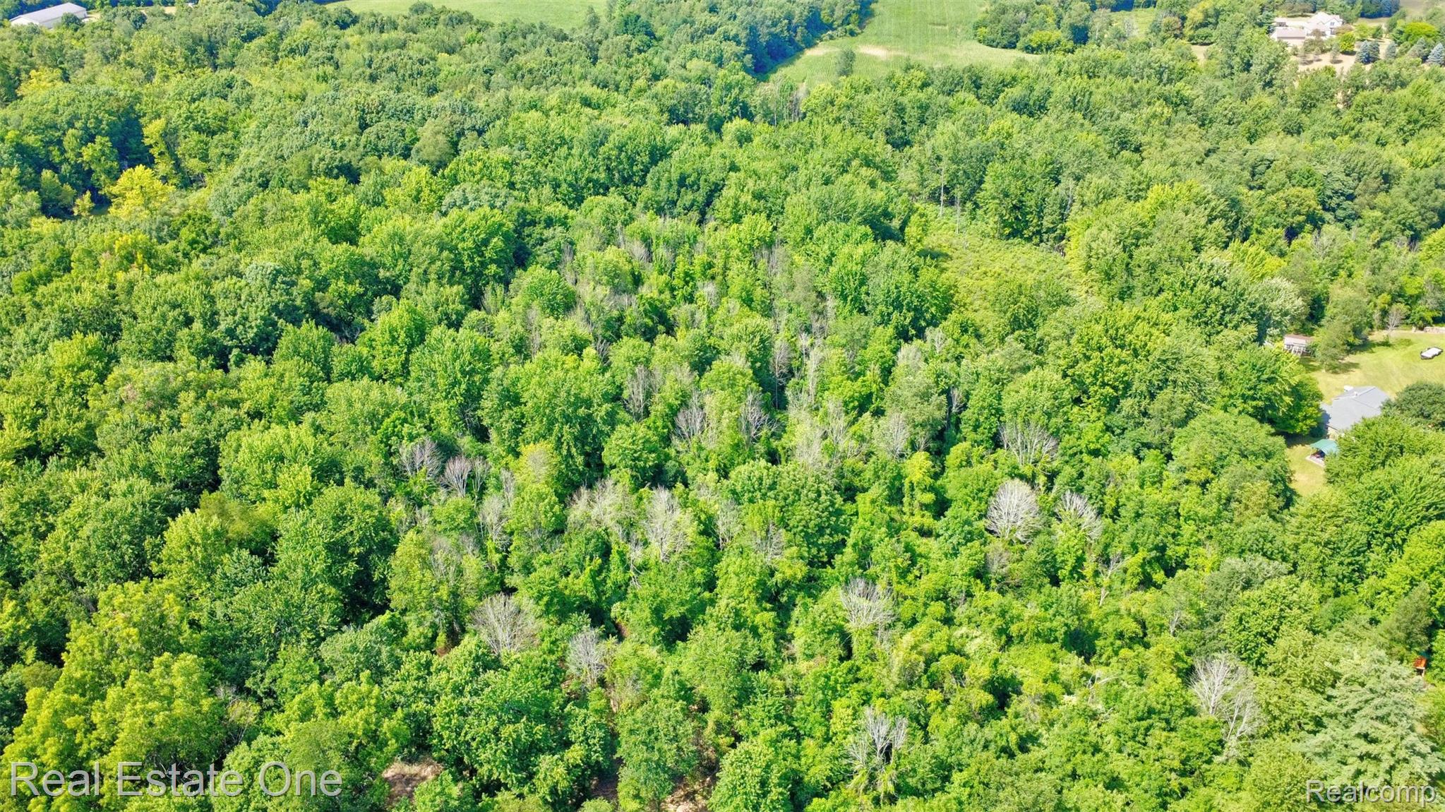 00 Bridges Cove Property Photo 18
