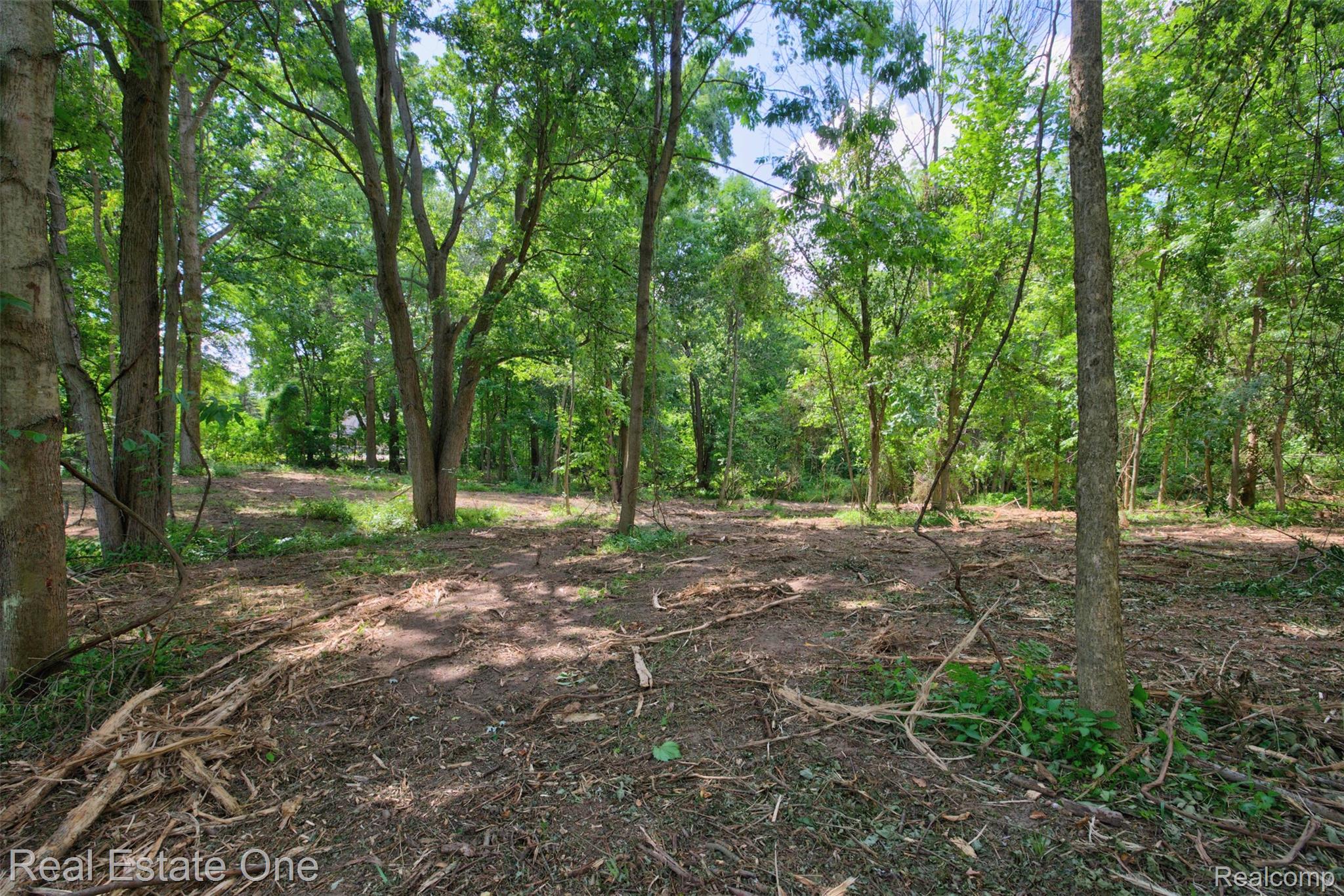 00 Bridges Cove Property Photo 28