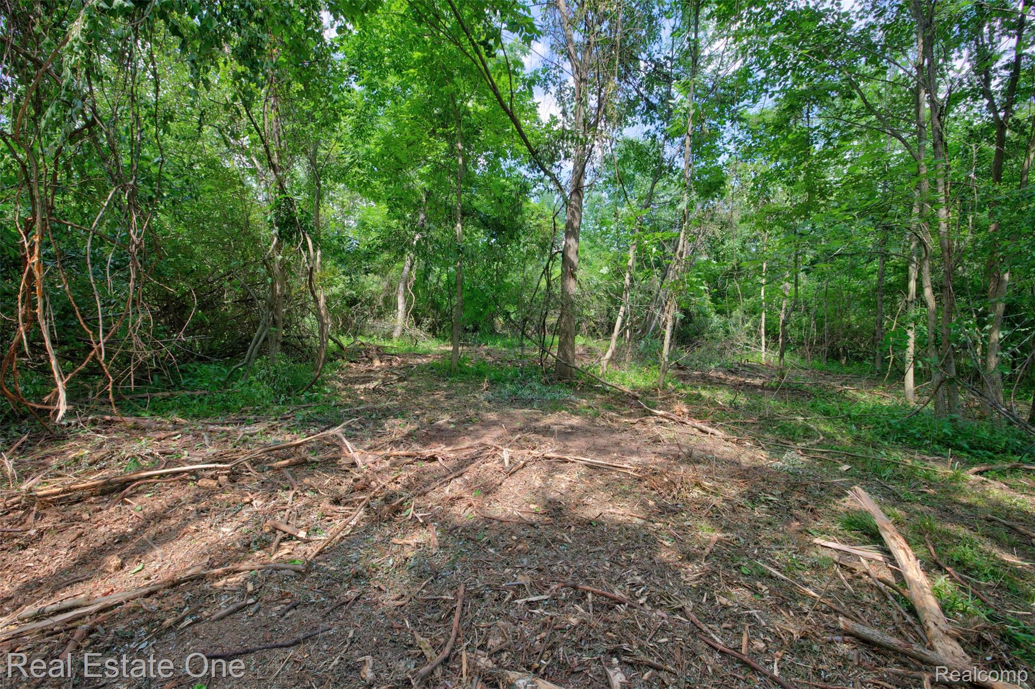 00 Bridges Cove Property Photo 29