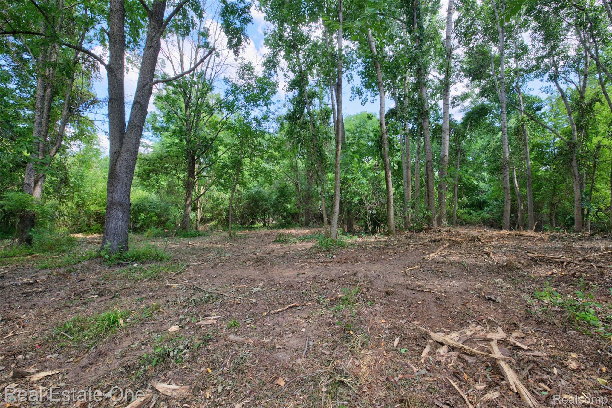 00 Bridges Cove Property Photo 31