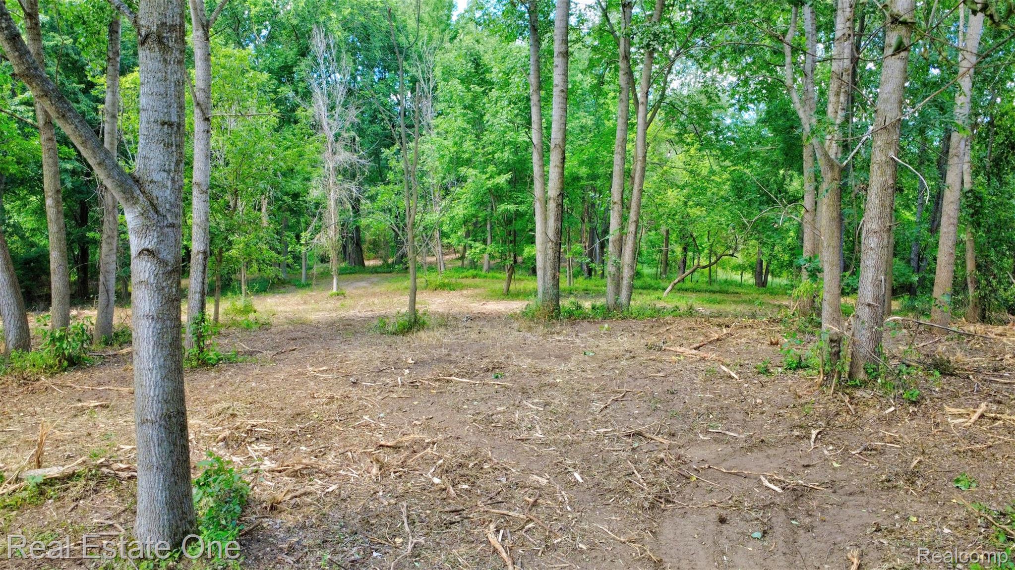 00 Bridges Cove Property Photo 32