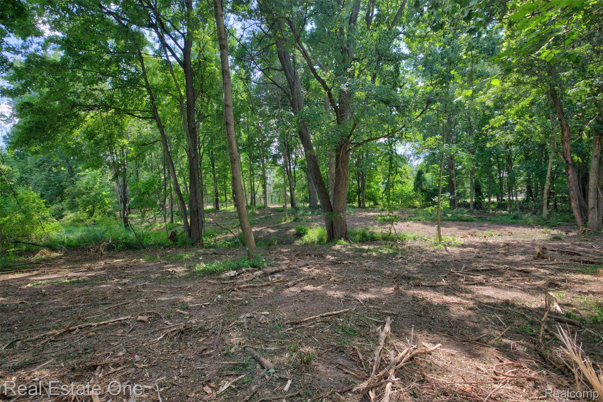 00 Bridges Cove Property Photo 33