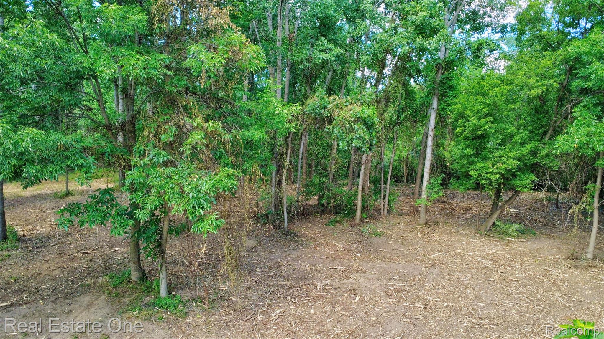 00 Bridges Cove Property Photo 34