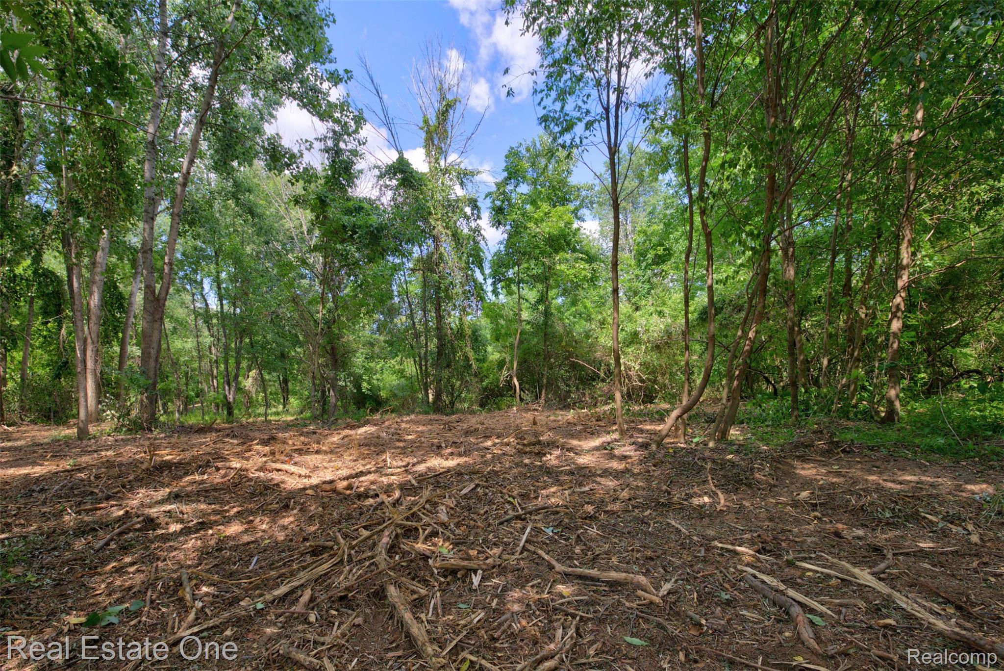 00 Bridges Cove Property Photo 37