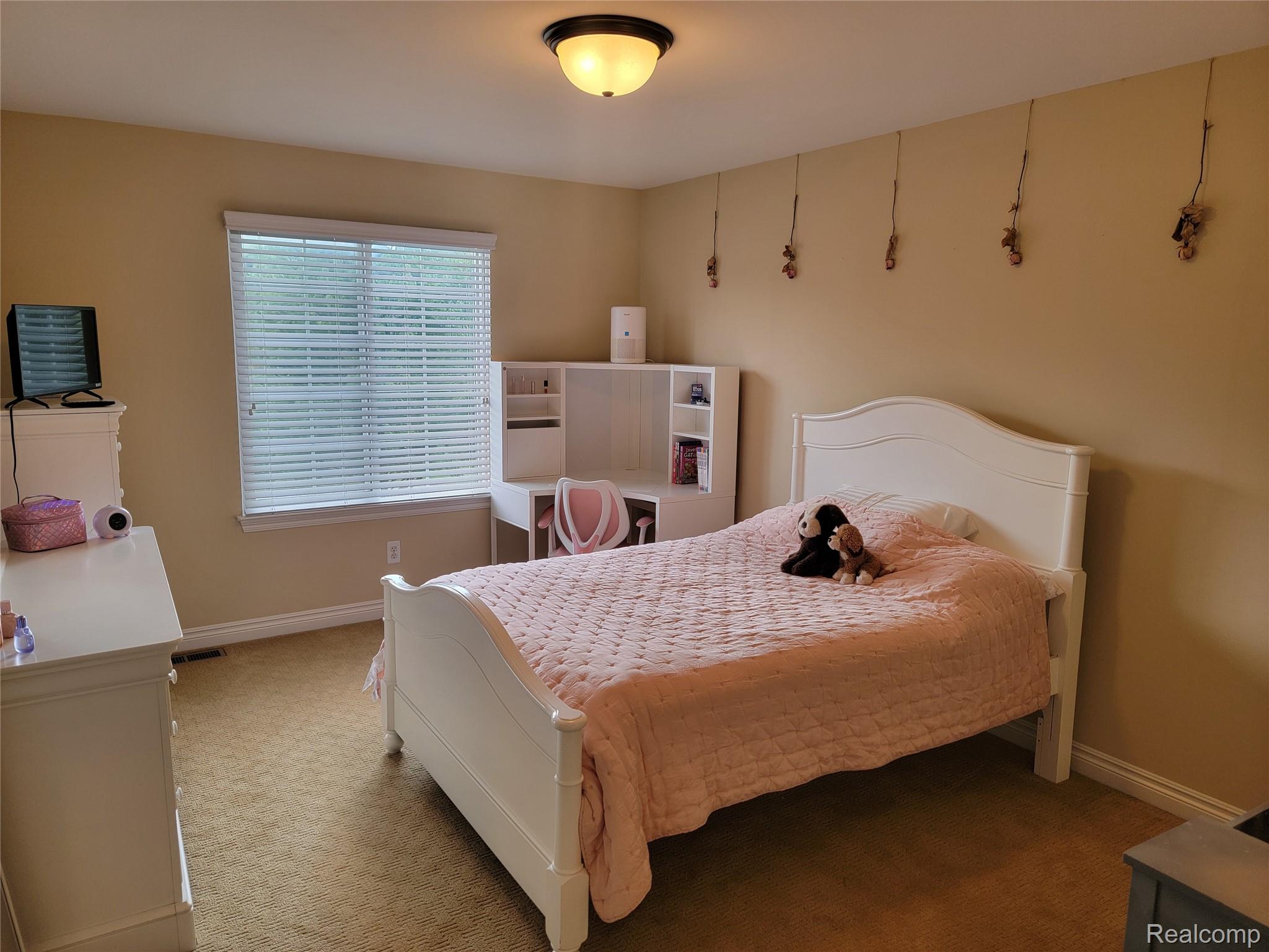 55958 Ashbrooke Drive Property Photo 18