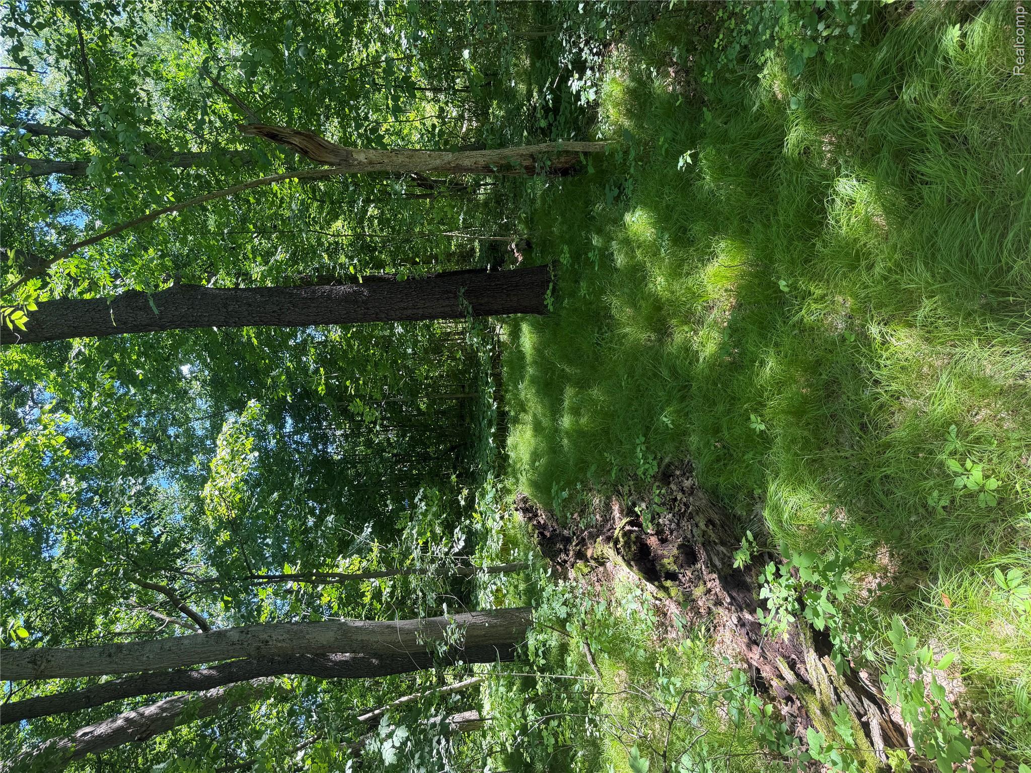 00 Deer Ridge Trail Property Photo 10