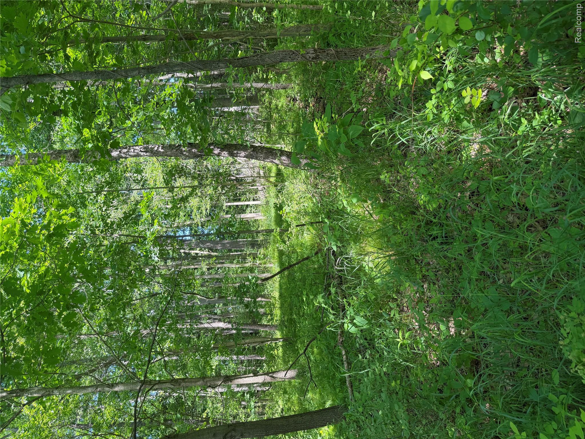 00 Deer Ridge Trail Property Photo 11
