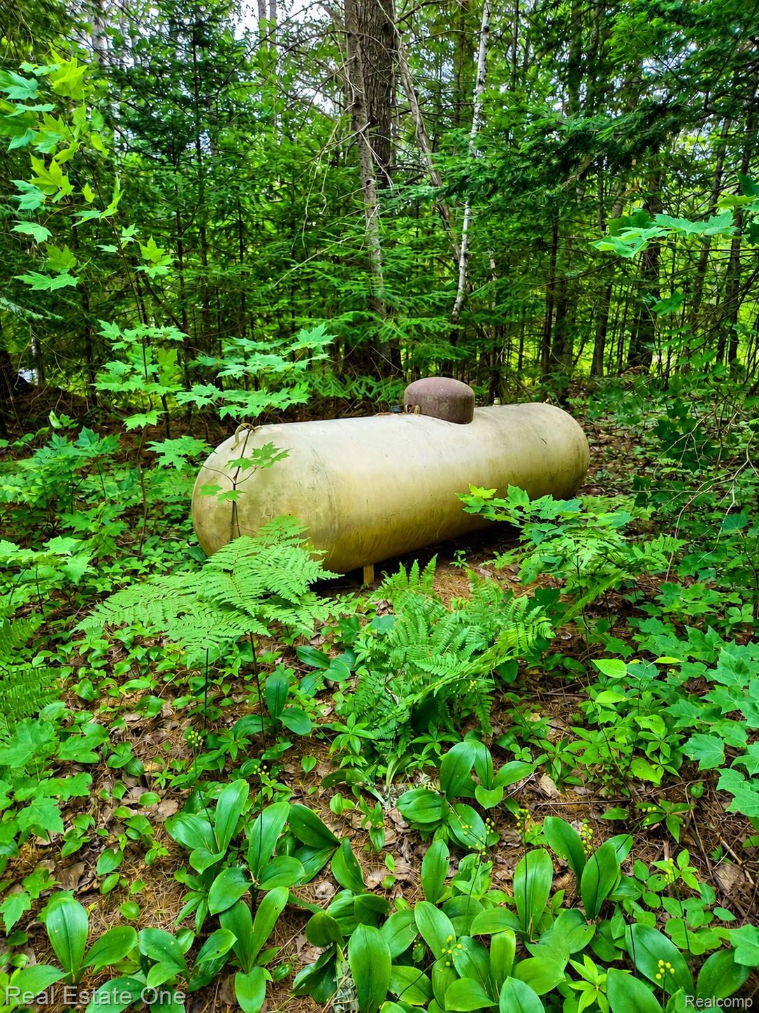 11557 Sullivan Creek Trail Property Photo 23