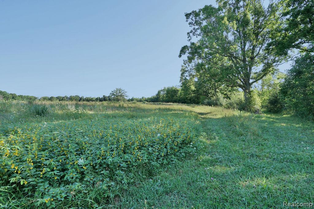 Vl Skelton Road Property Photo 35