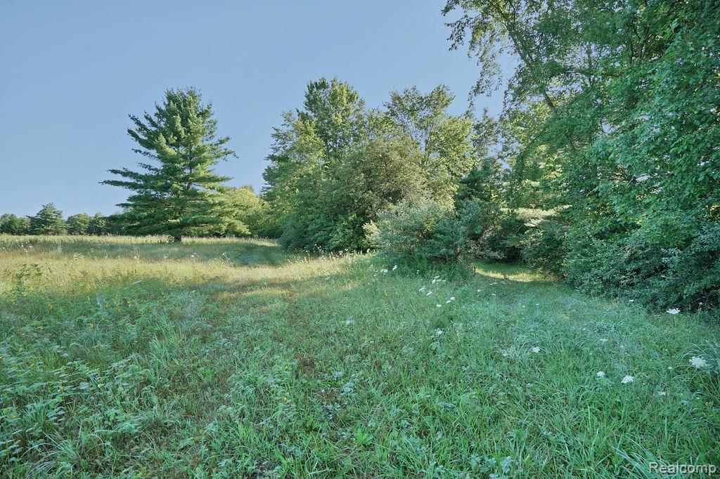 Vl Skelton Road Property Photo 37
