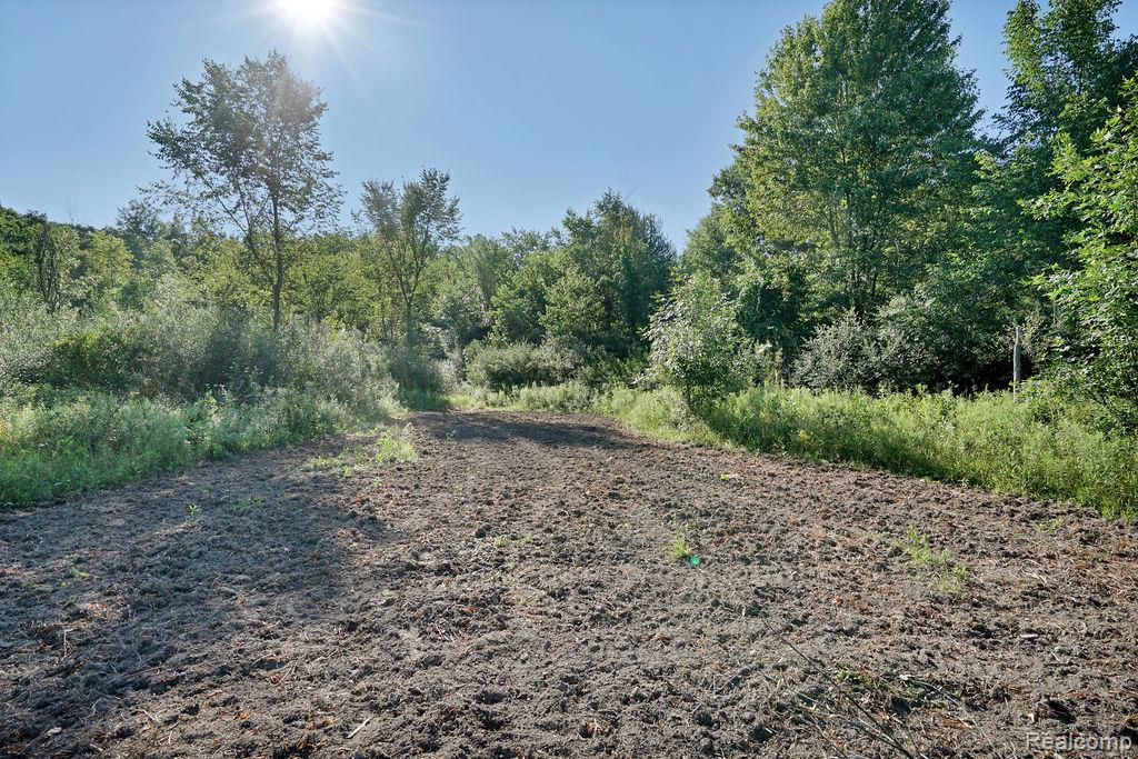 Vl Skelton Road Property Photo 39