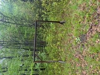5055 Adams Road Property Photo 9