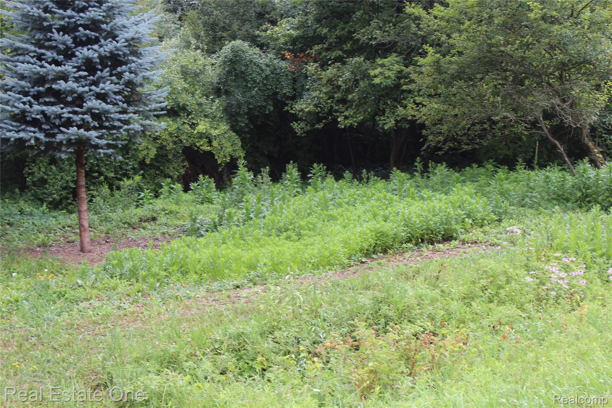 Lot 149 Greensboro Way Property Photo 1
