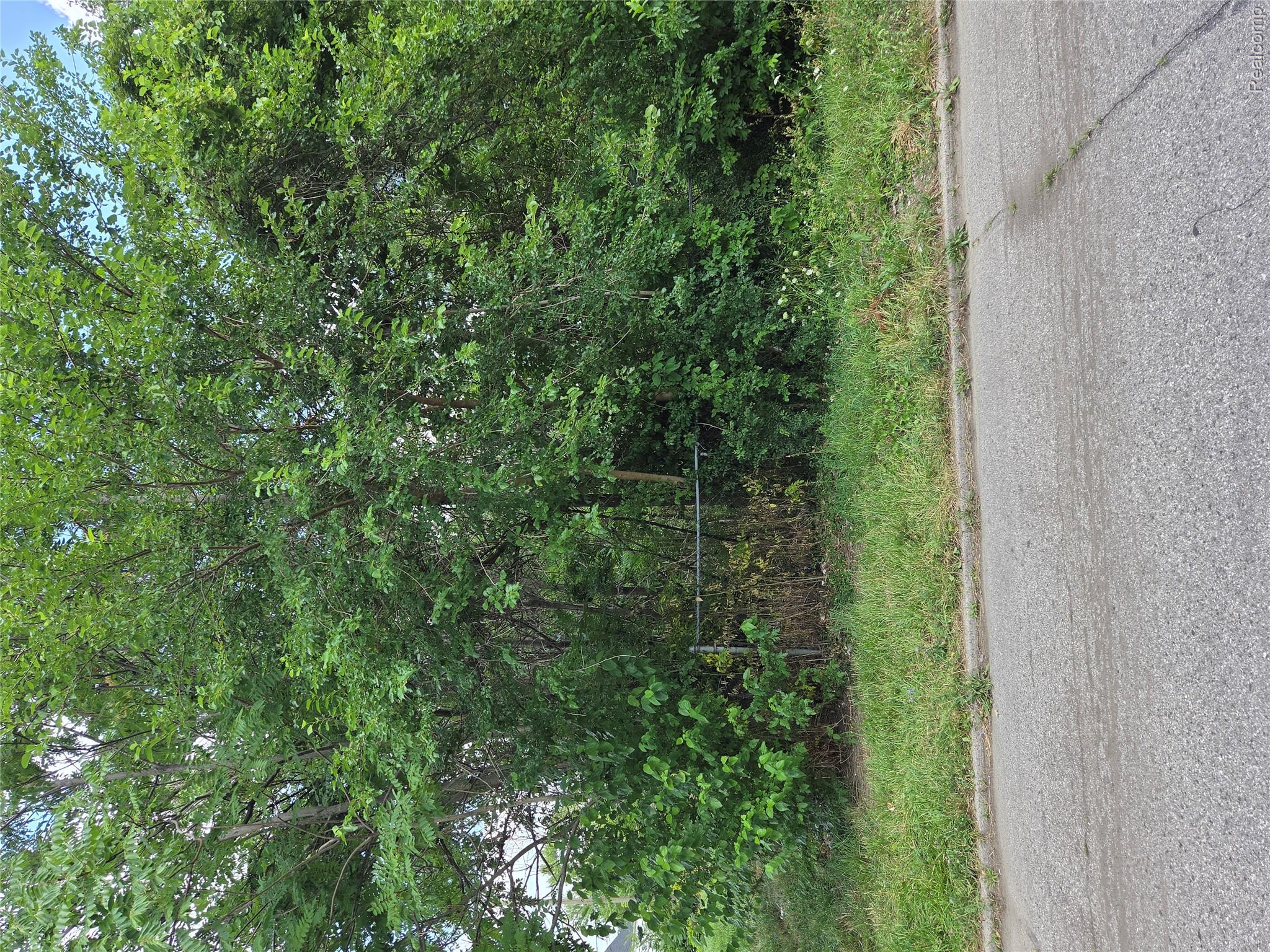 2534 Beals Street Property Photo 1