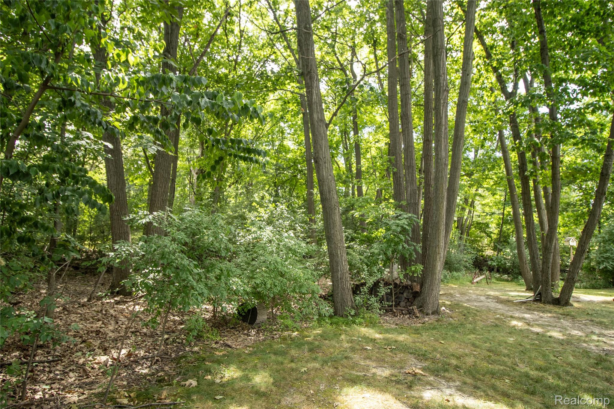 9302 Green Tree Drive Property Photo 58