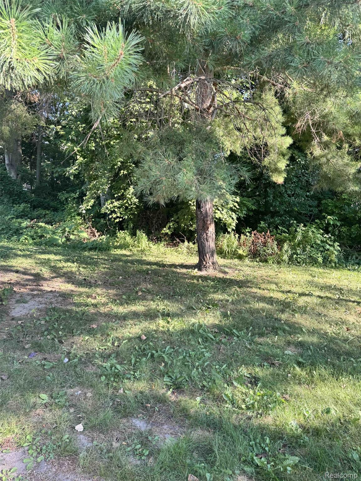 11079 Armstrong Property Photo 6