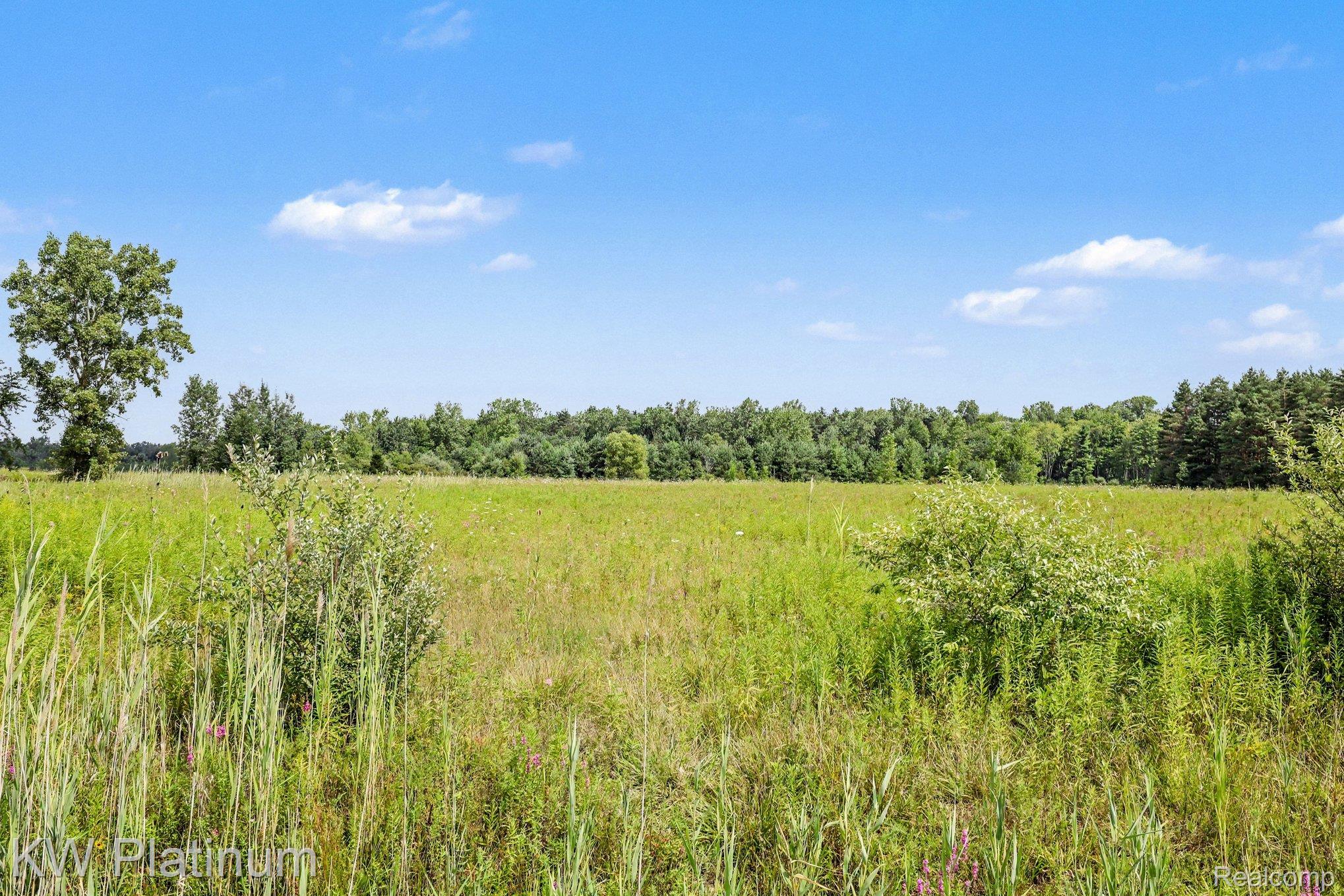 Lot 10 Lapeer Road Property Photo 4