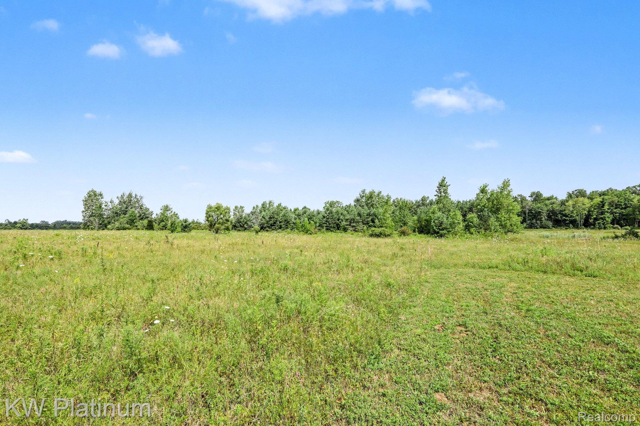 Lot 10 Lapeer Road Property Photo 6