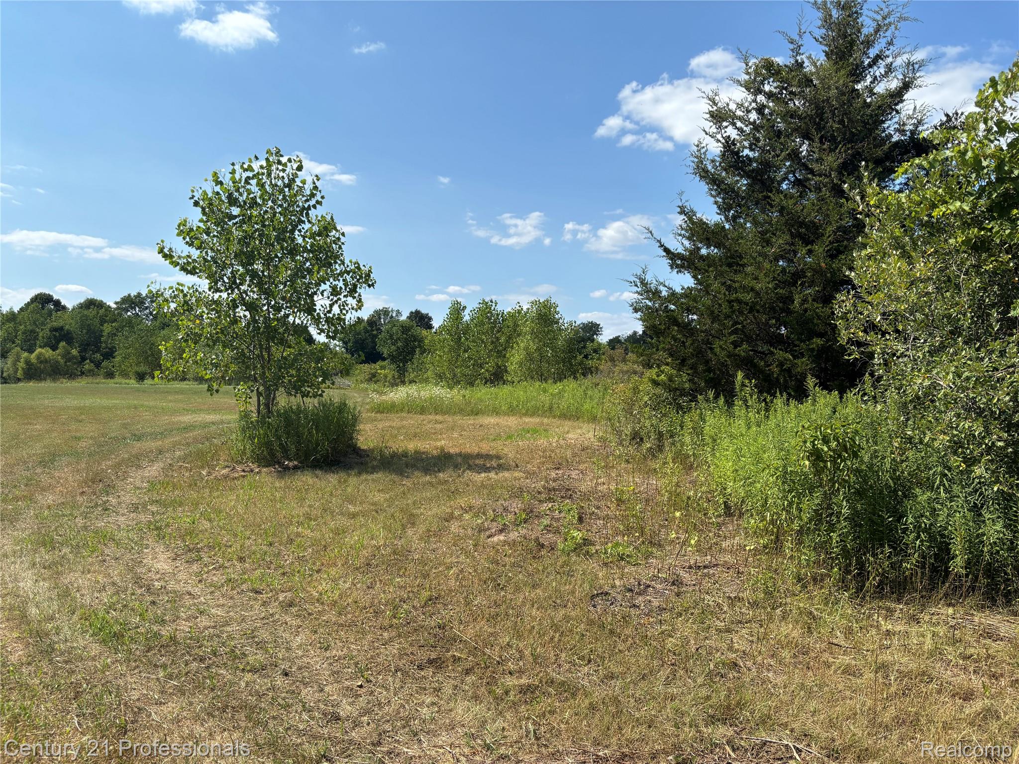 0000 Callis Rd. Property Photo 33
