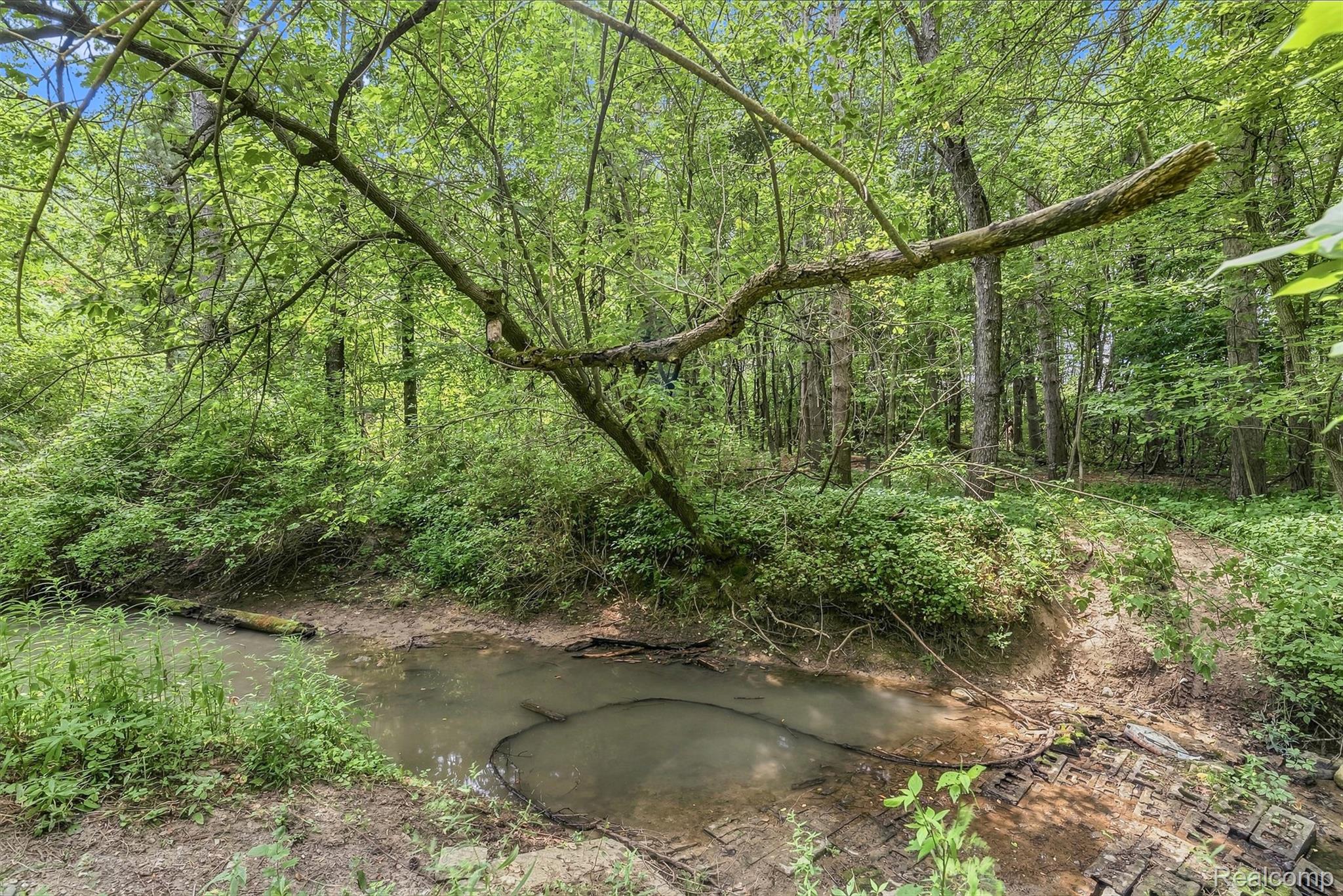 6163 N State Road Property Photo 44