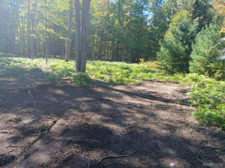 0 Goldenrod Dr Property Photo 1
