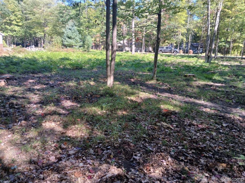 0 Goldenrod Dr Property Photo 3