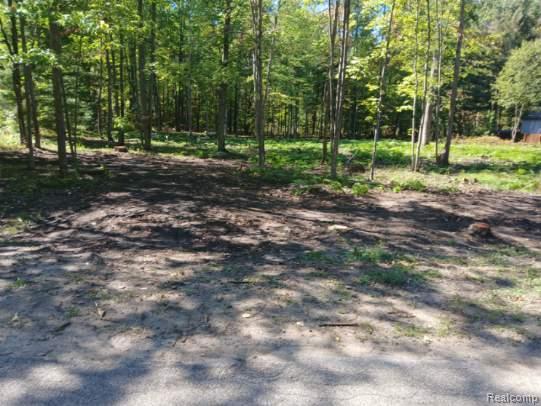 0 Goldenrod Dr Property Photo 4