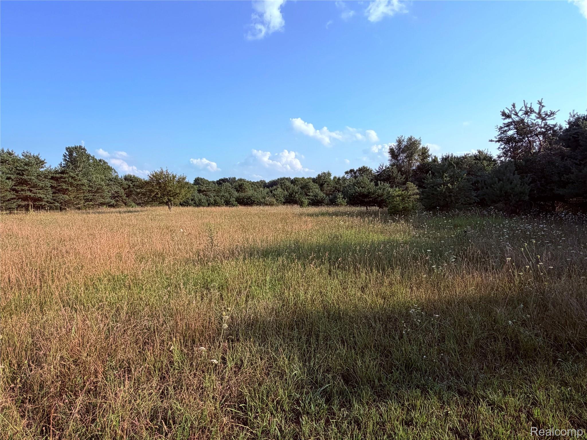 5656 Delong Road Property Photo 11