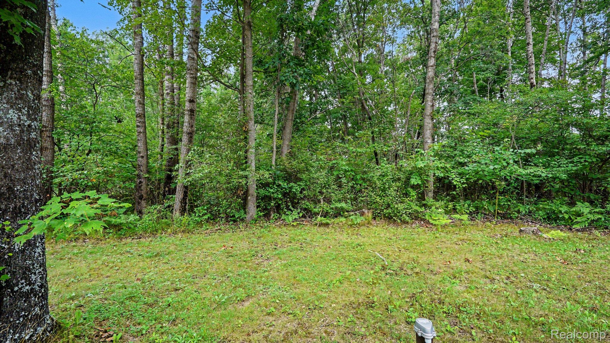 3700 Elbow Lake Property Photo 18