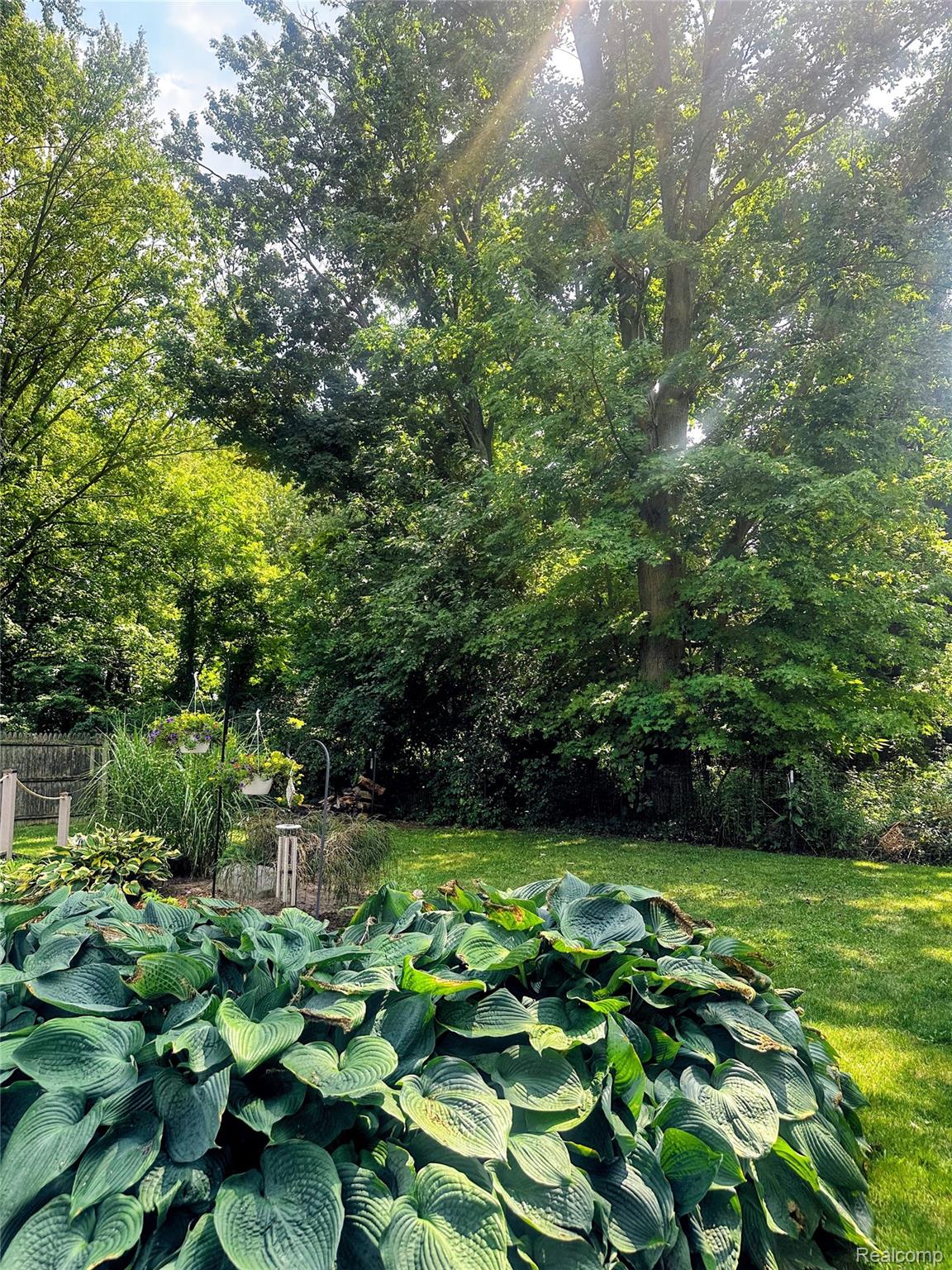 10361 Coldwater Road Property Photo 33