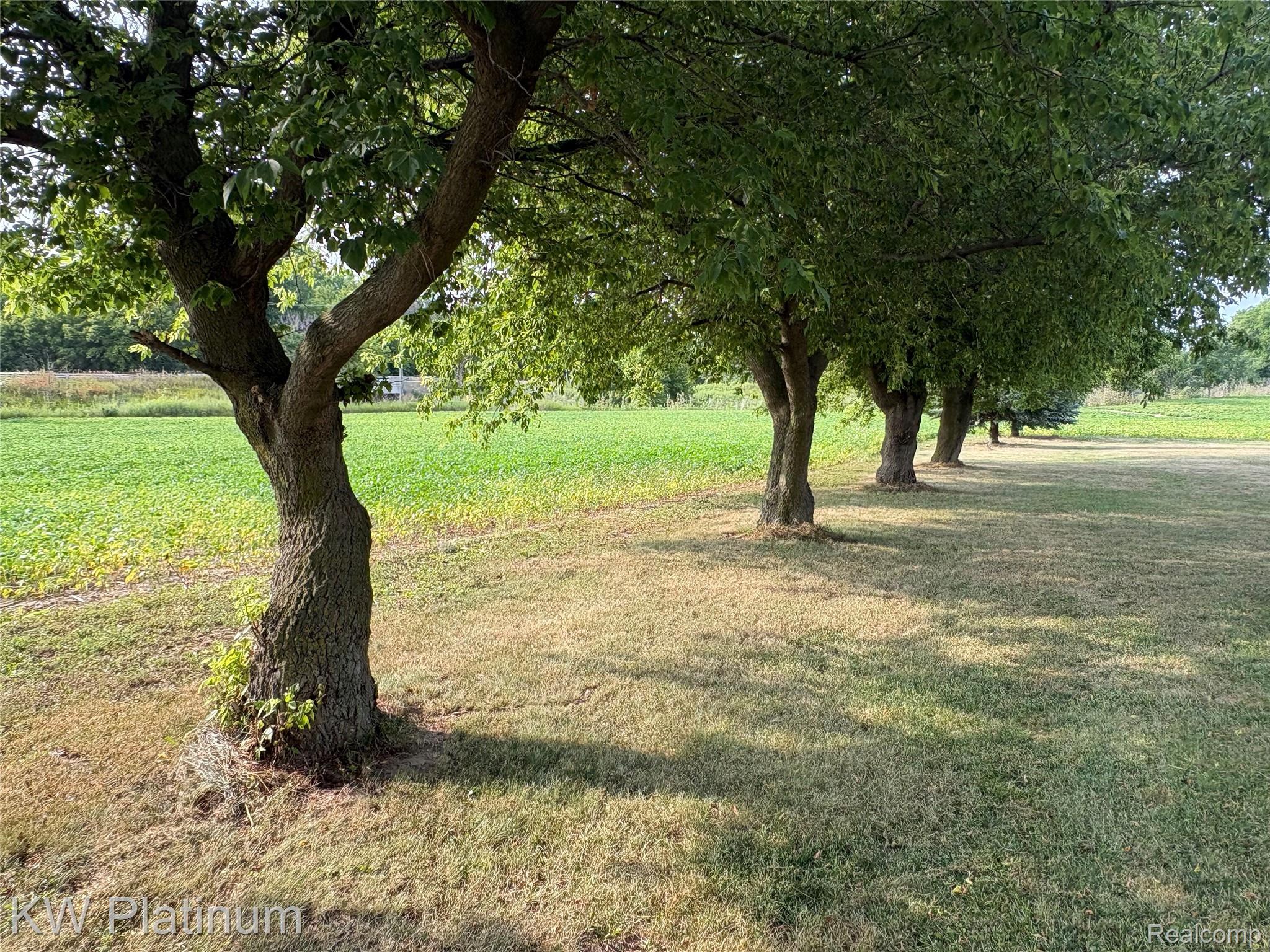 3260 Colclough Road Property Photo 22