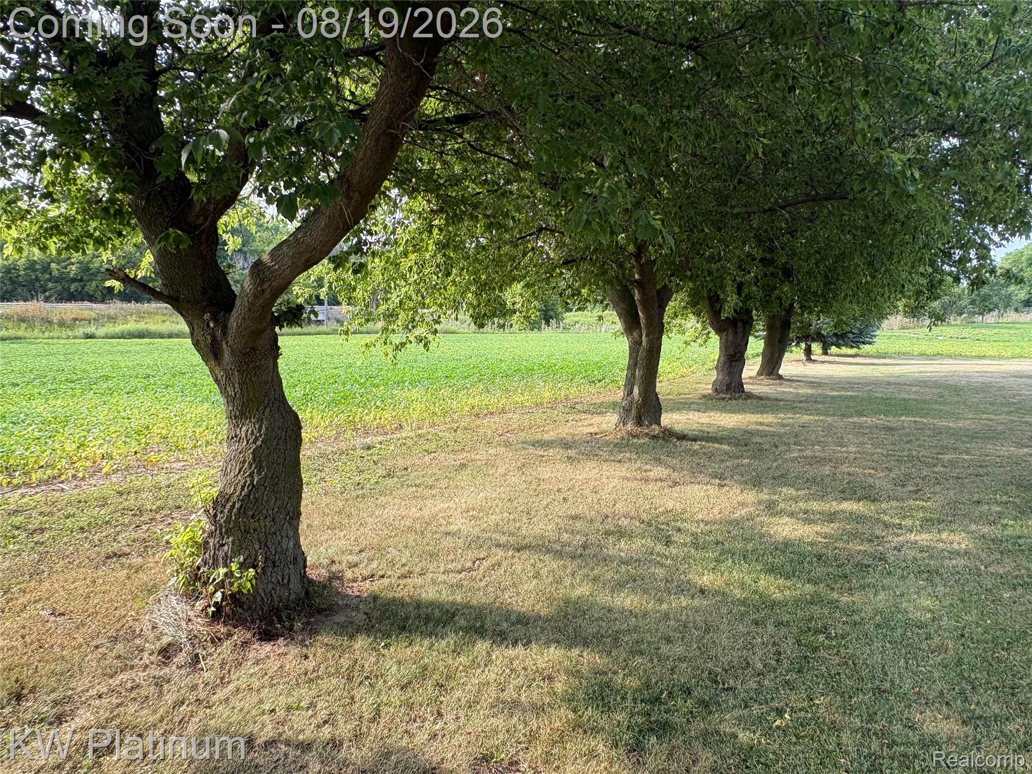 3260 Colclough Road Property Photo 24